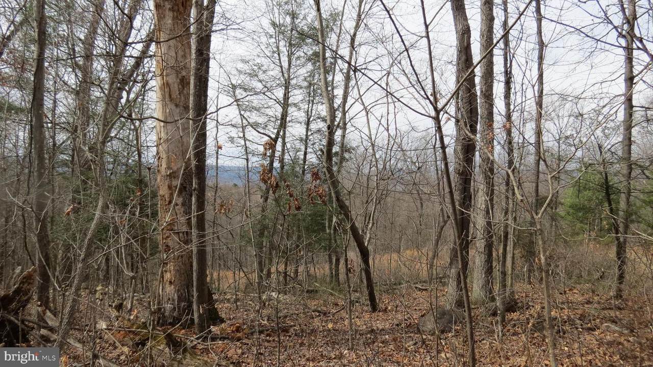 0 Grove Hill River Road - Photo 1
