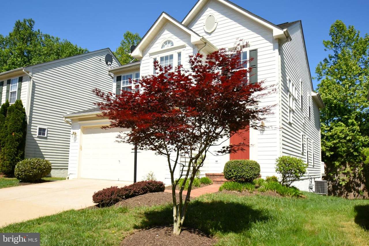 8842 Bennington Boulevard - Photo 1
