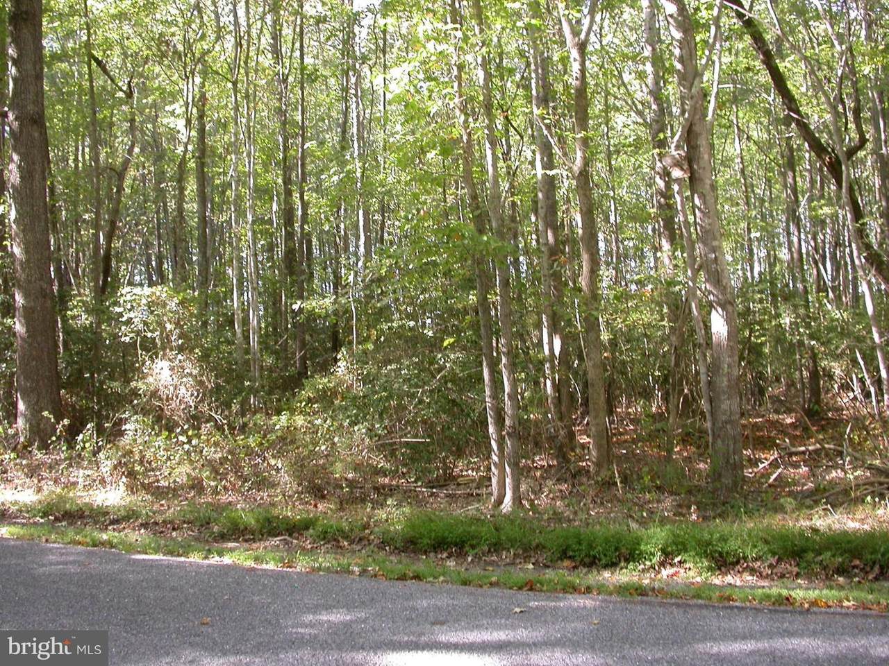 48748 Spring Ridge Road - Photo 1