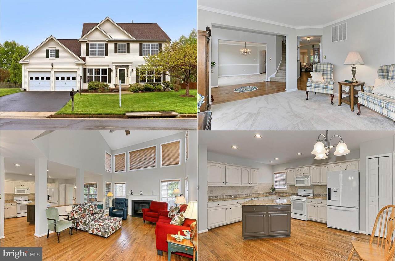 13852 Bridlewood Drive - Photo 1 13852 Bridlewood Drive - Photo 1
