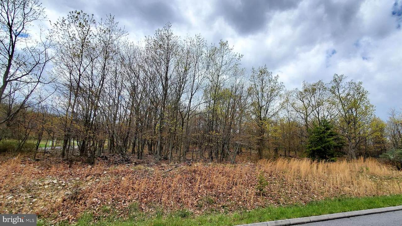 Lot 2 Arrowhead Trail - Photo 1