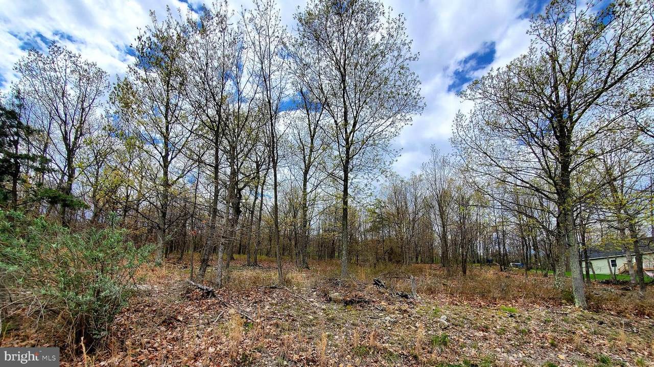 Lot 3 Arrowhead Trail - Photo 1