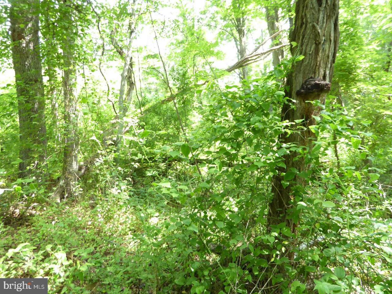 39 Crestview Mountain Road - Photo 1 39 Crestview Mountain Road - Photo 1