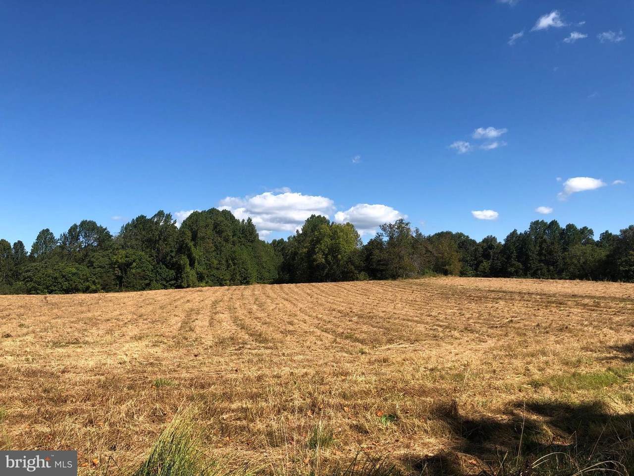 13912 Molly Berry Road - Photo 1