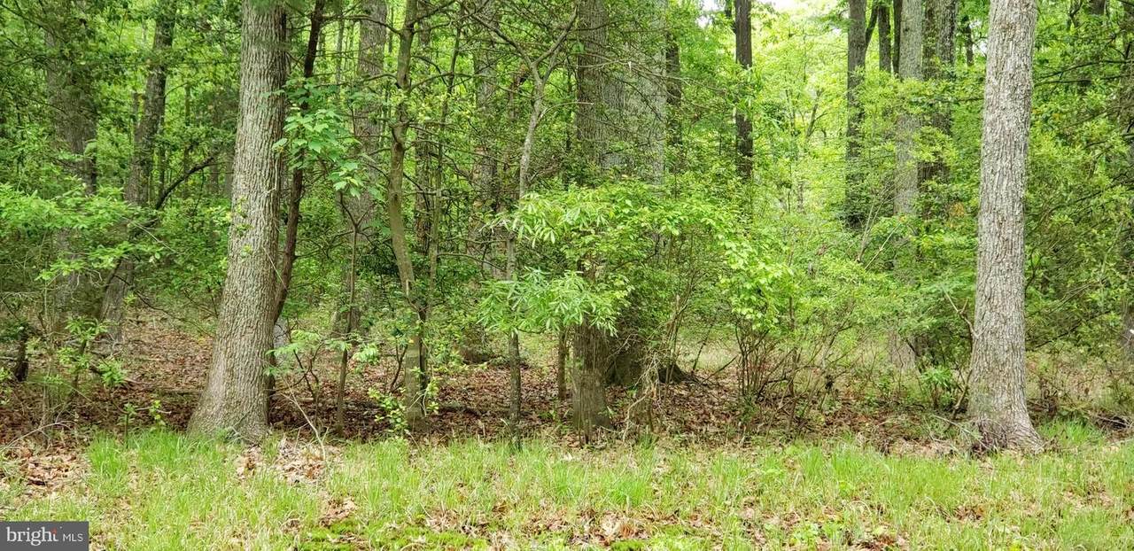 Lot 19 Lilly - Photo 1