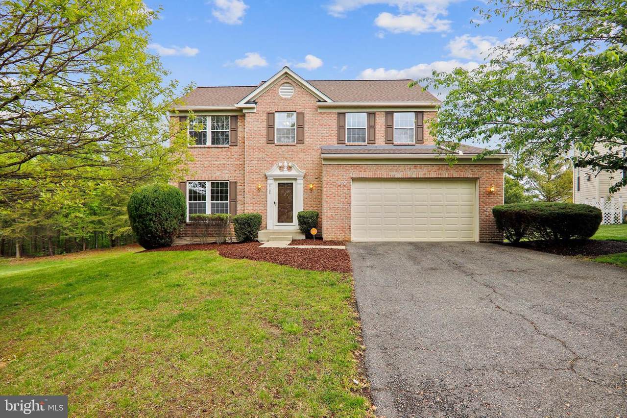 8108 Button Bush Court - Photo 1