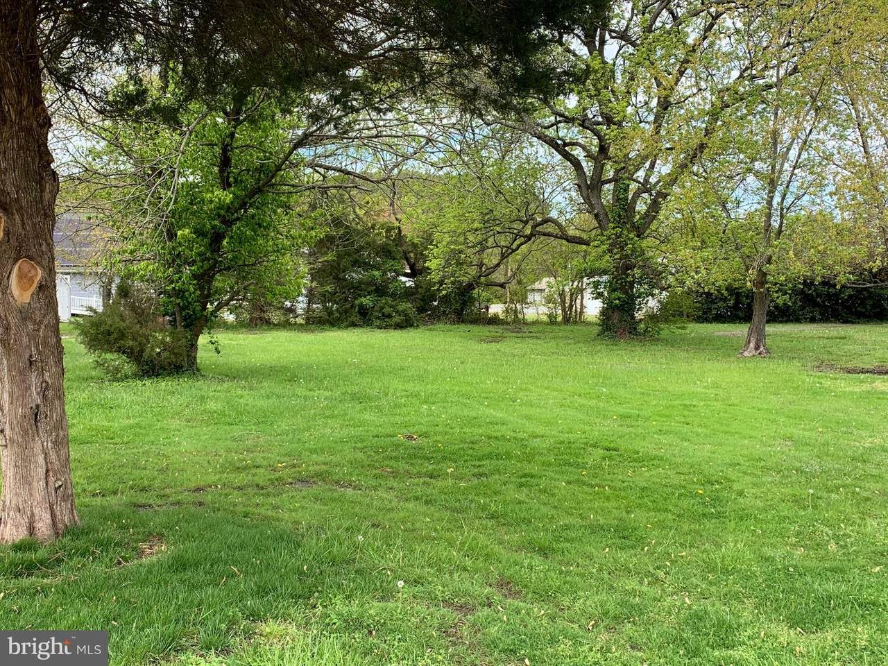Catholic Avenue - Photo 1