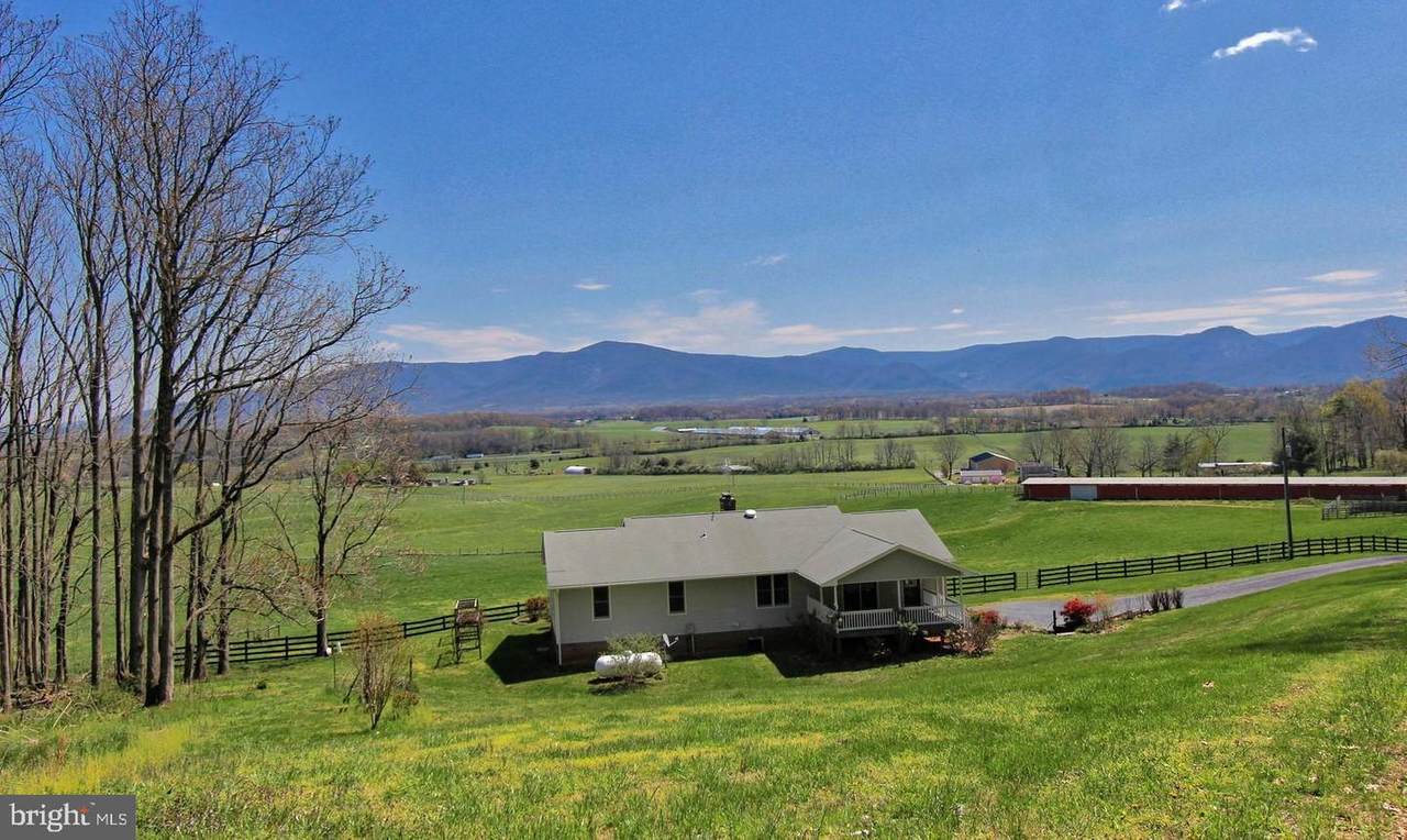 1167 Almo Chapel Road - Photo 1