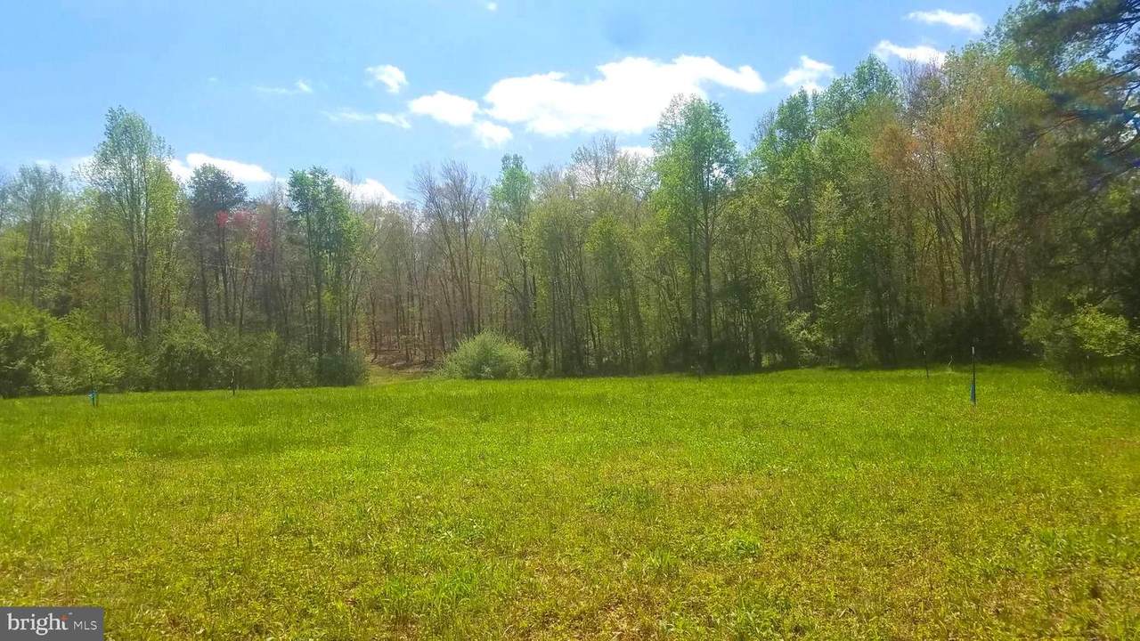 31472 Russel Road - Photo 1