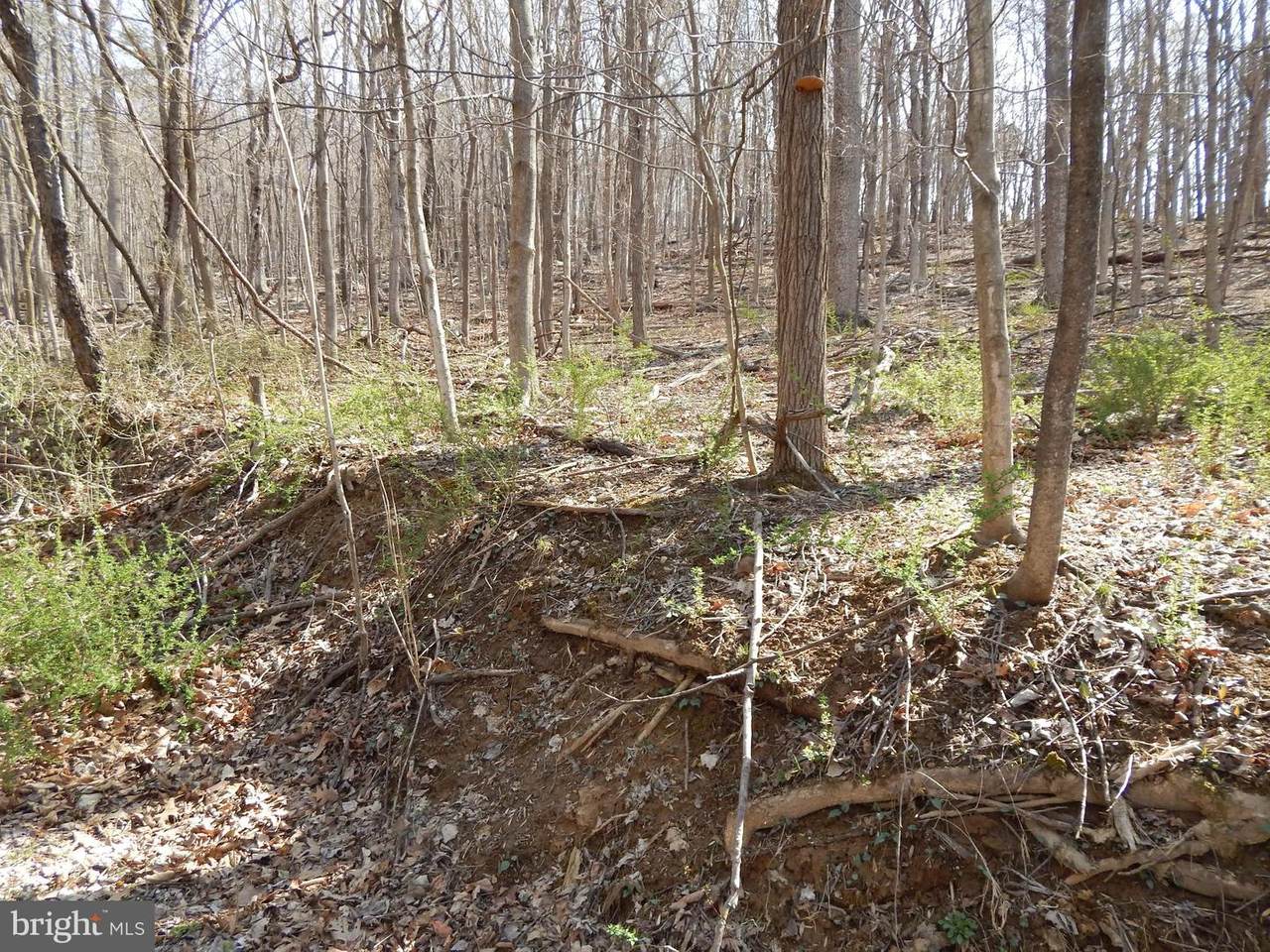 Lot 3 Off Spicy Cedar Lane - Photo 1