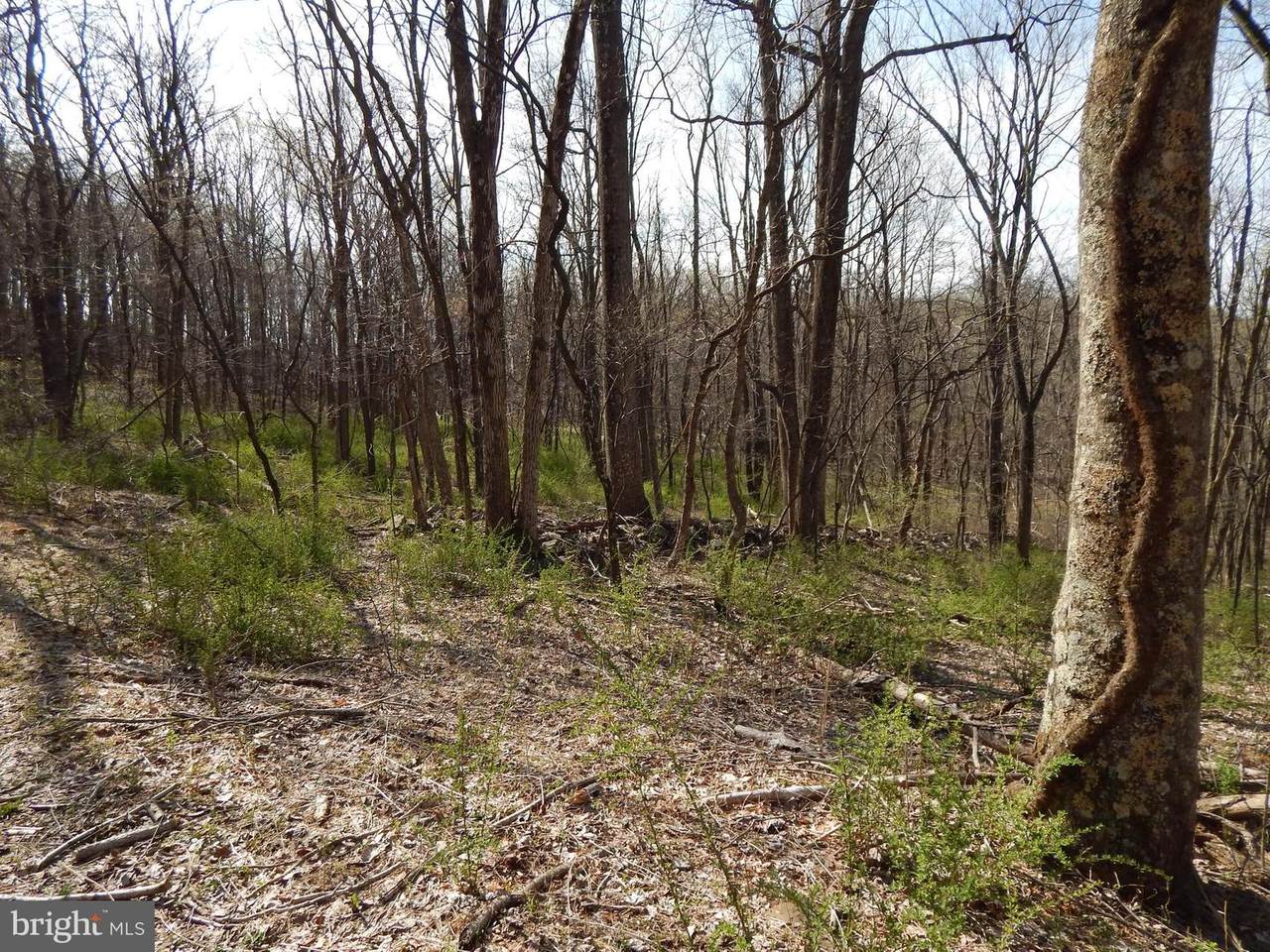 Lot 1 Off Spicy Cedar Lane - Photo 1