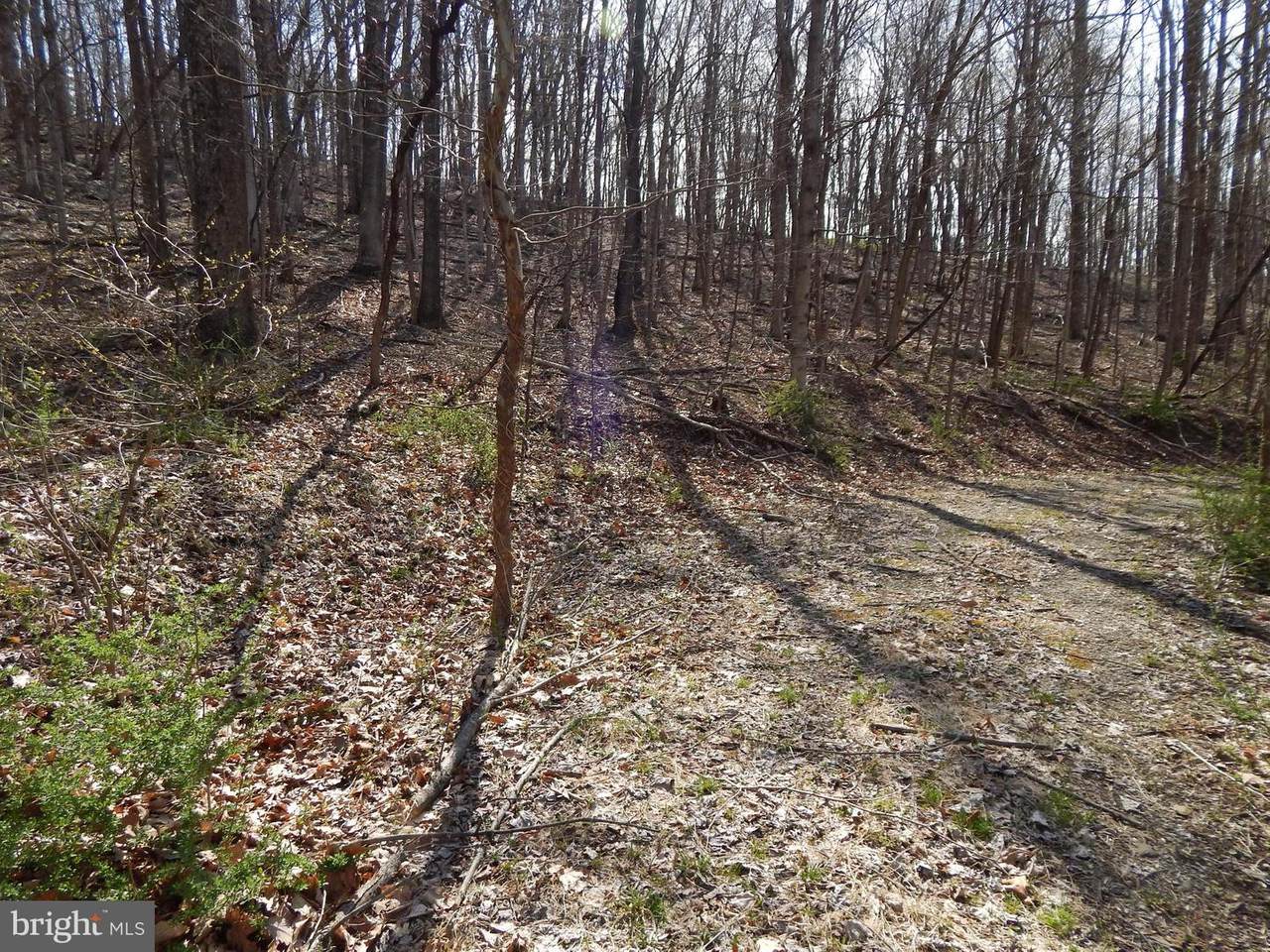 Lot 4 Off Spicy Cedar Lane - Photo 1