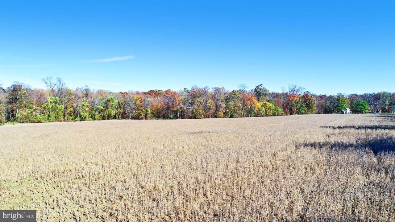 2815 Creswell Road - Photo 1