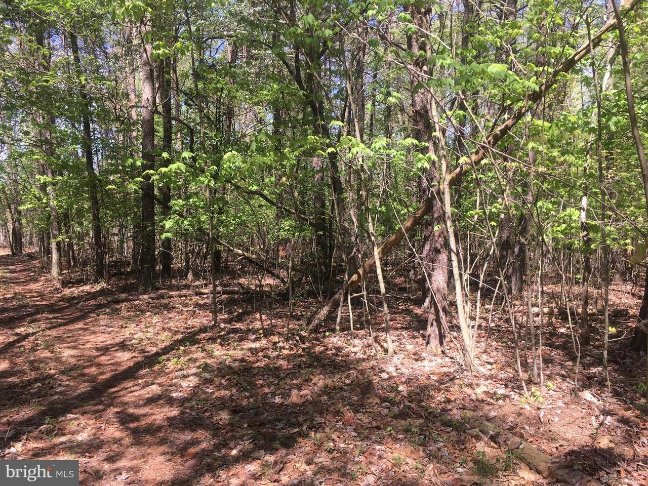 Lot 11 Potomac Overlook - Photo 1