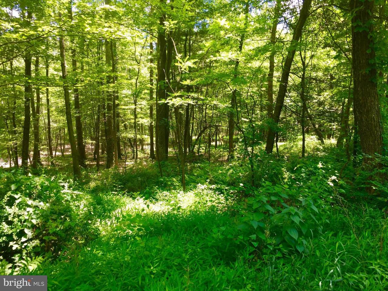 LOT 17 Falcon View Drive - Photo 1