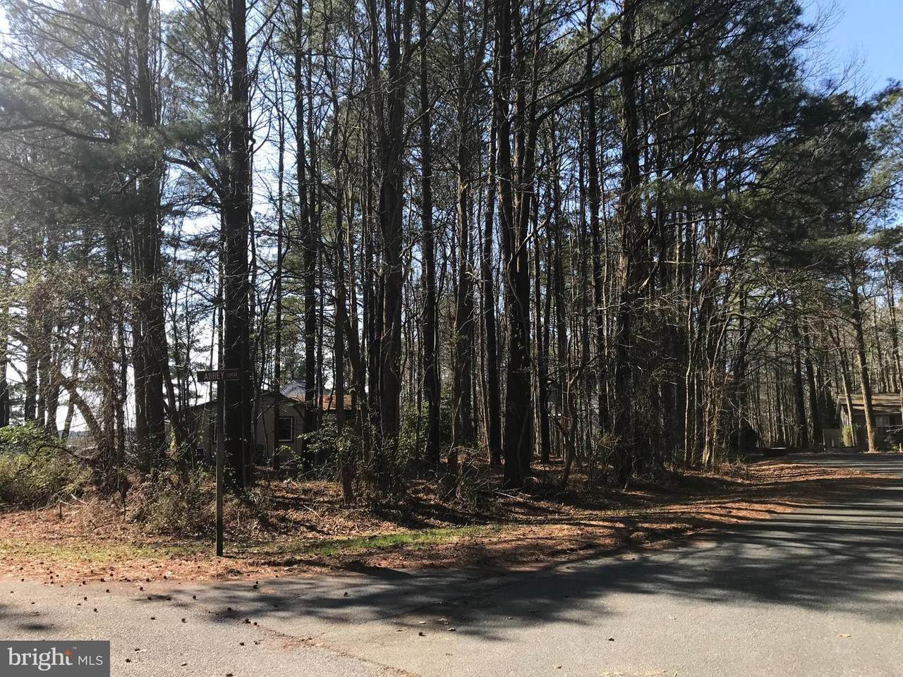117 Robin Hood Trail - Photo 1 117 Robin Hood Trail - Photo 1