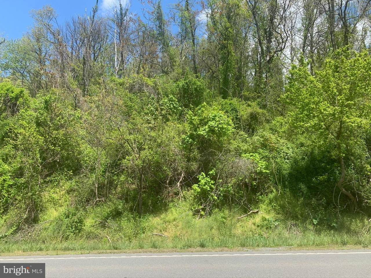 0 Remount Road 39D 16 Tax Map - Photo 1