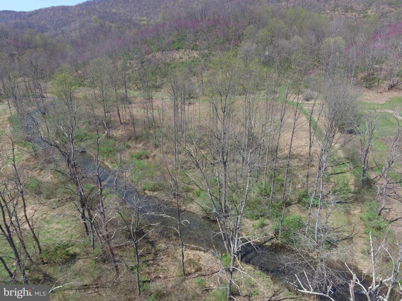 Flintstone Creek Road - Photo 1
