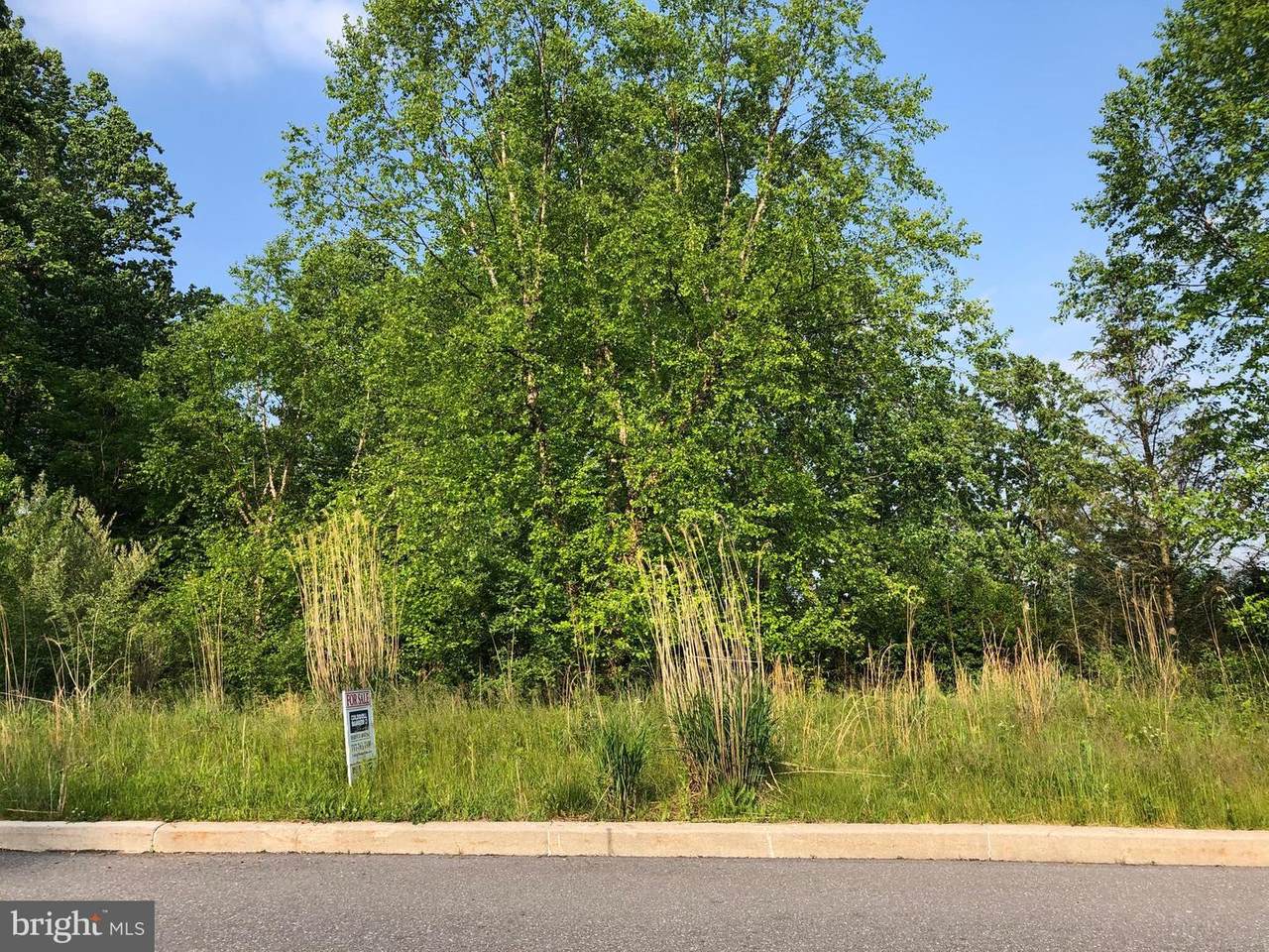 614 Black Powder Drive - Photo 1
