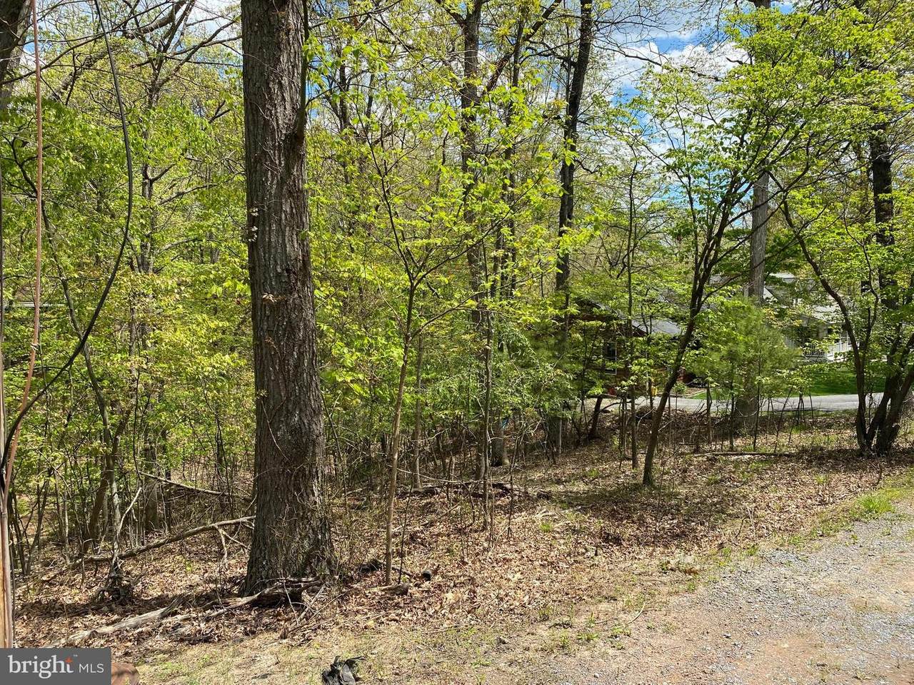 205 Northwood - Photo 1