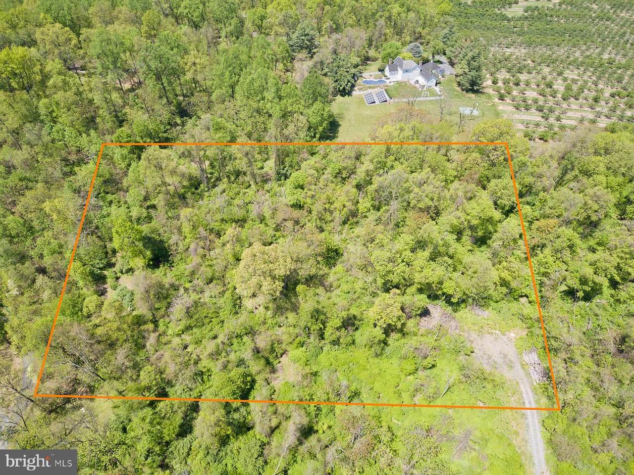 Lot behind 591 Apple Pie Ridge Rd - Photo 1