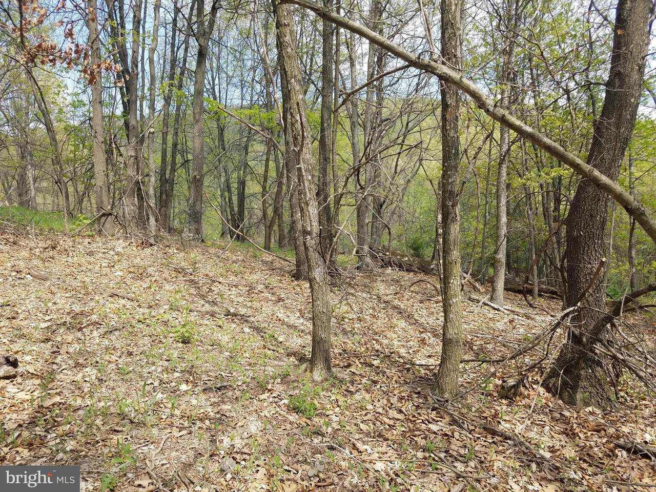 South Fork Mountain Road - Photo 1