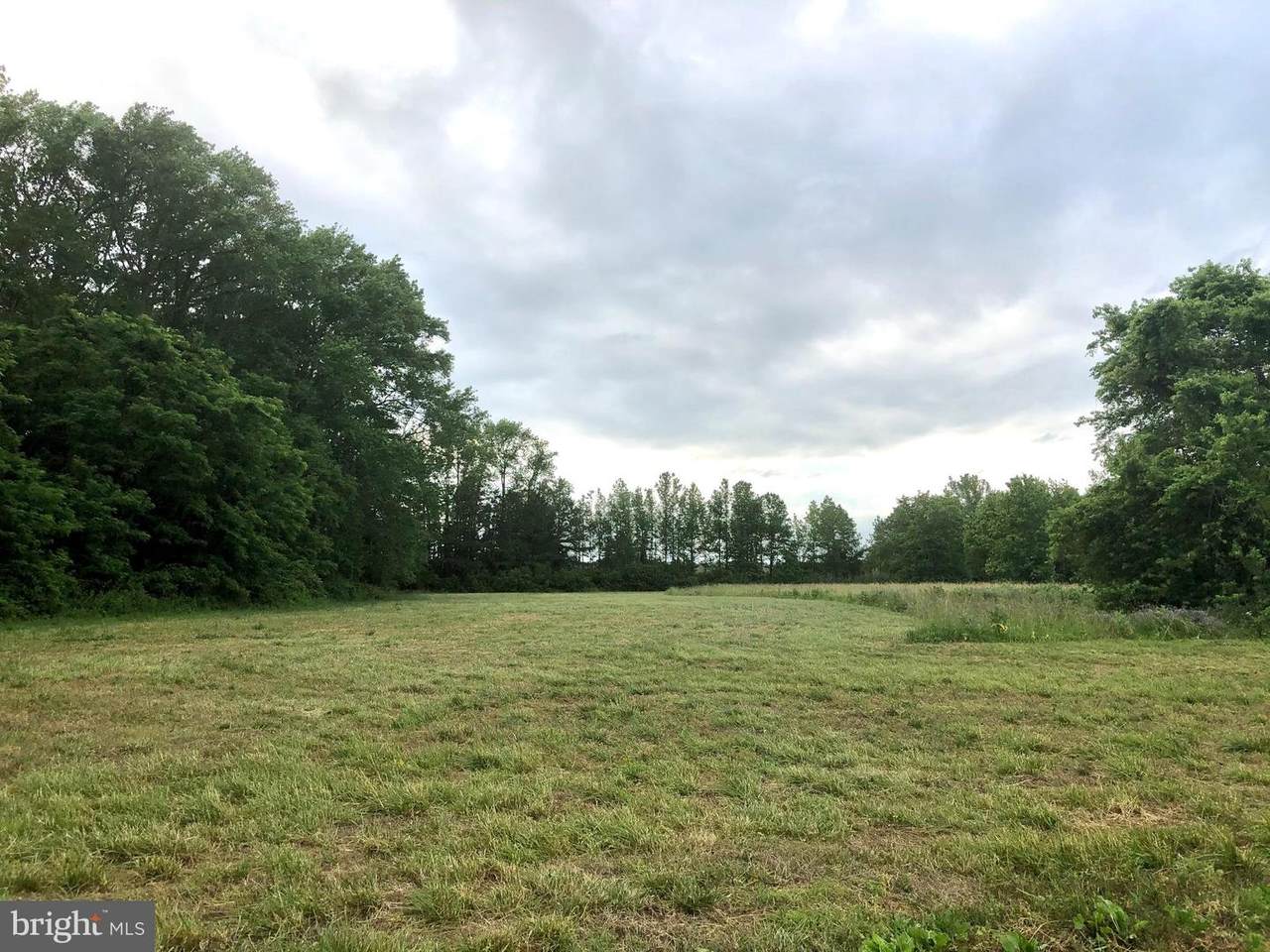 Lot 3 Five Farms Drive - Photo 1