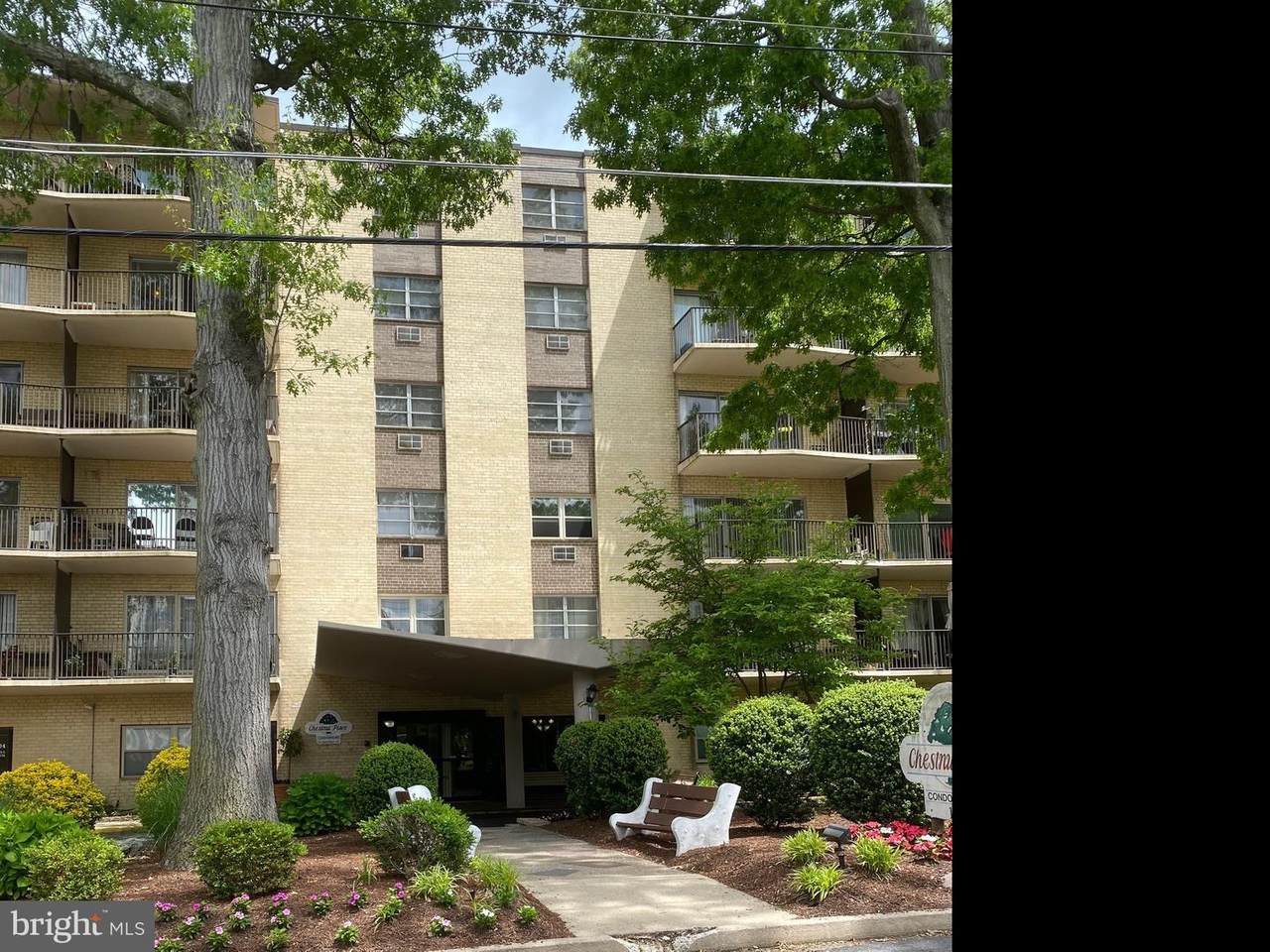 111 Chestnut Street - Photo 1