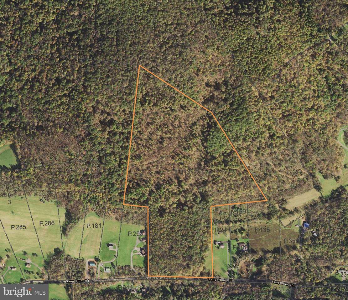 4449 Sang Run Rd - Photo 1