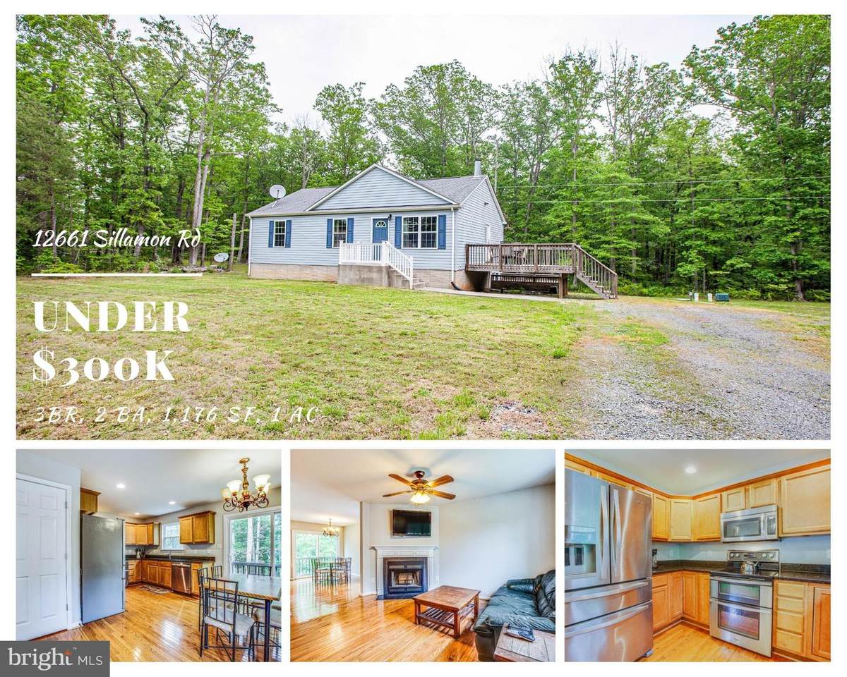 12661 Sillamon Road - Photo 1