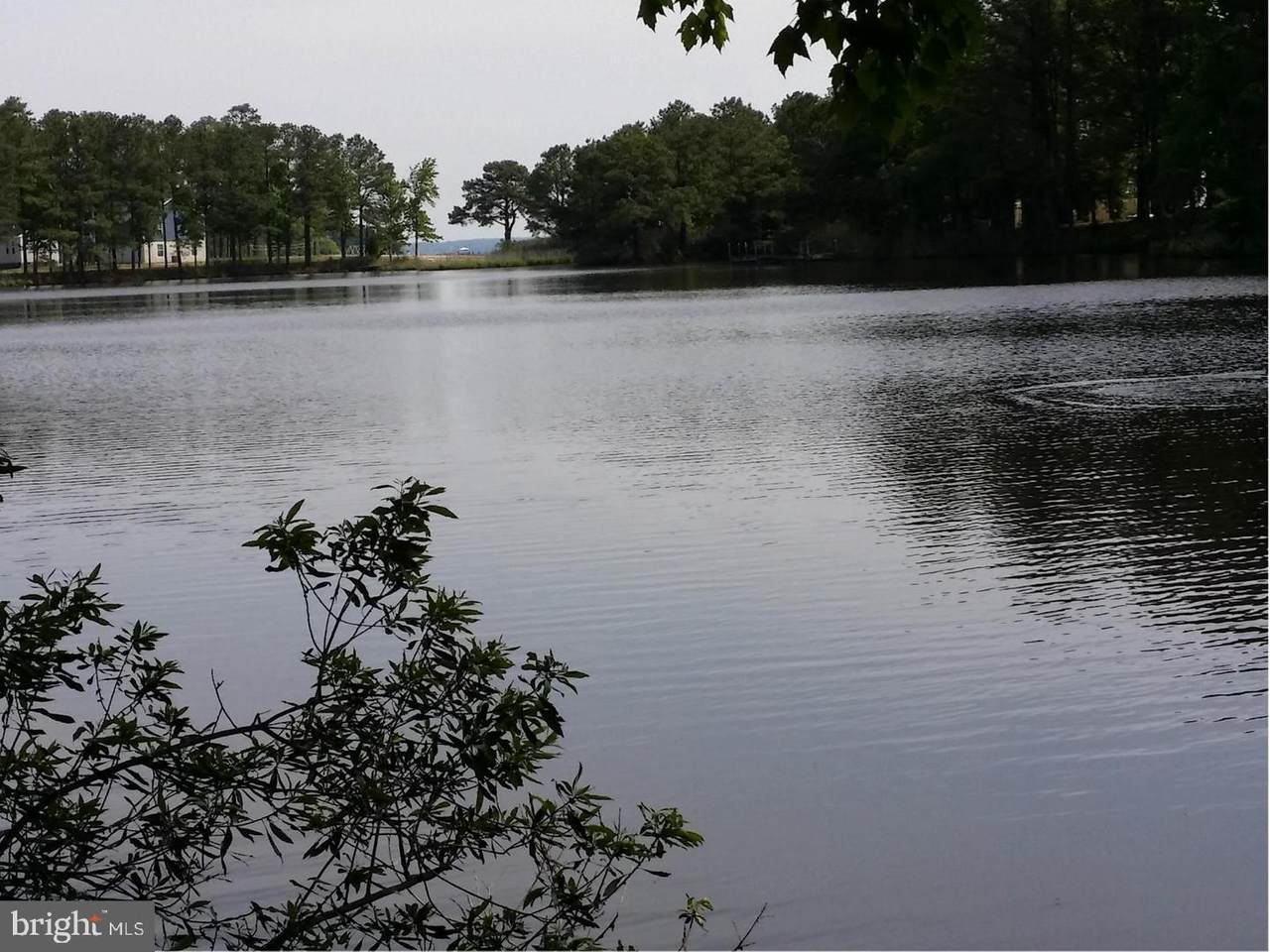 Dogwood Lane - Photo 1