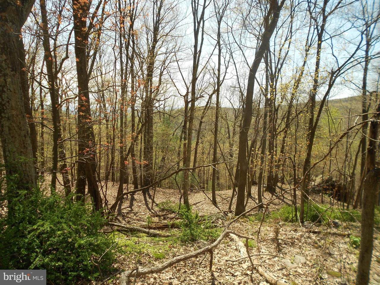 0 Bear Cove Lane - Photo 1 0 Bear Cove Lane - Photo 1