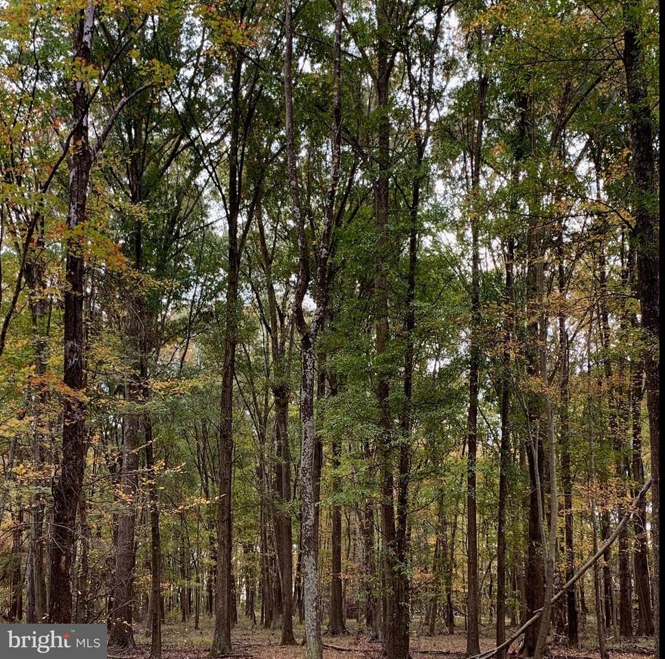 10307 Benchmark Road - Photo 1