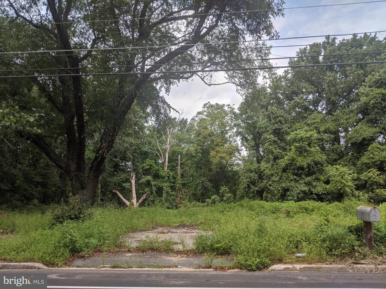 445 Highland Avenue - Photo 1