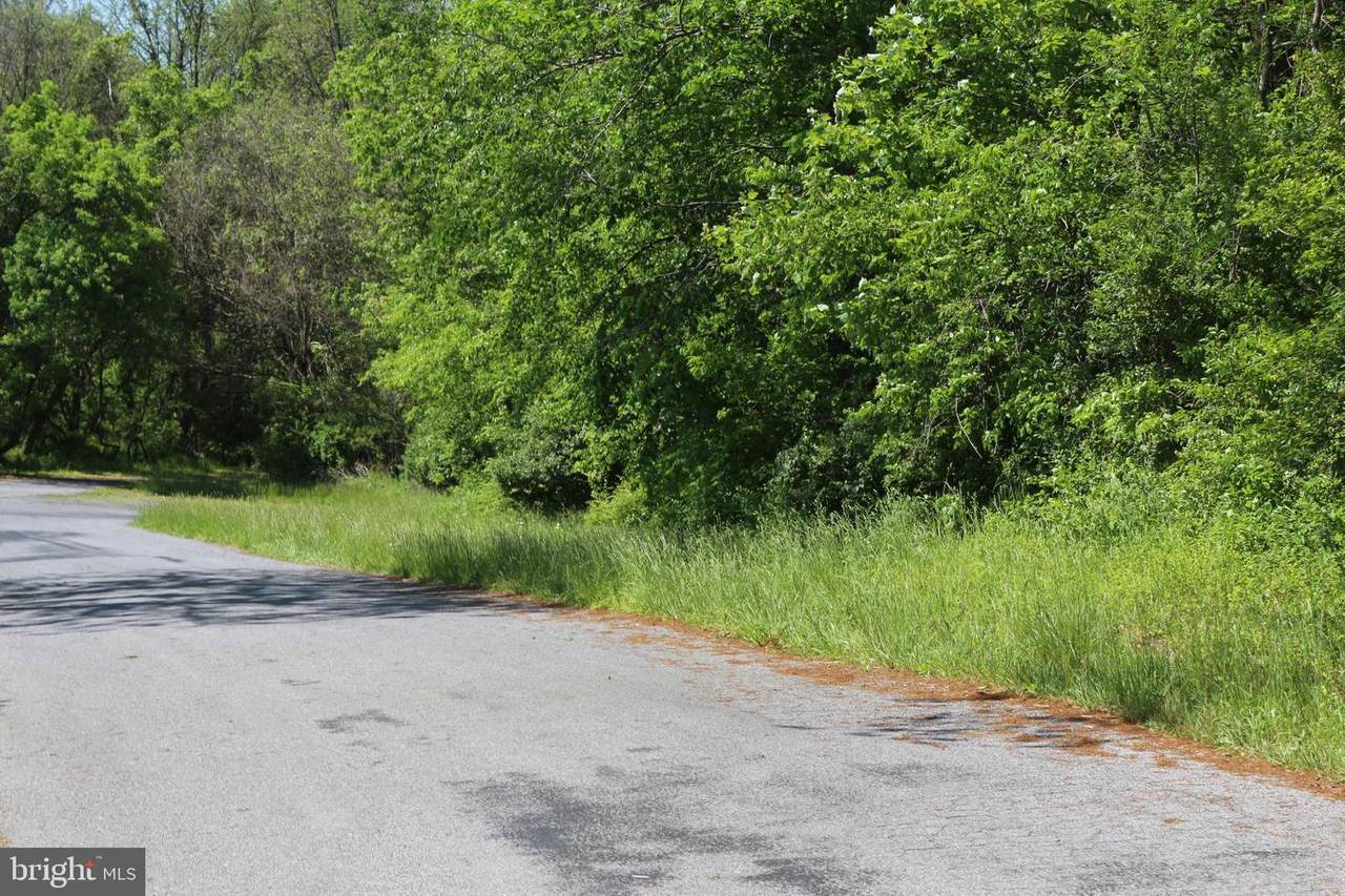 Licking Creek Road-Tract 2 - Photo 1