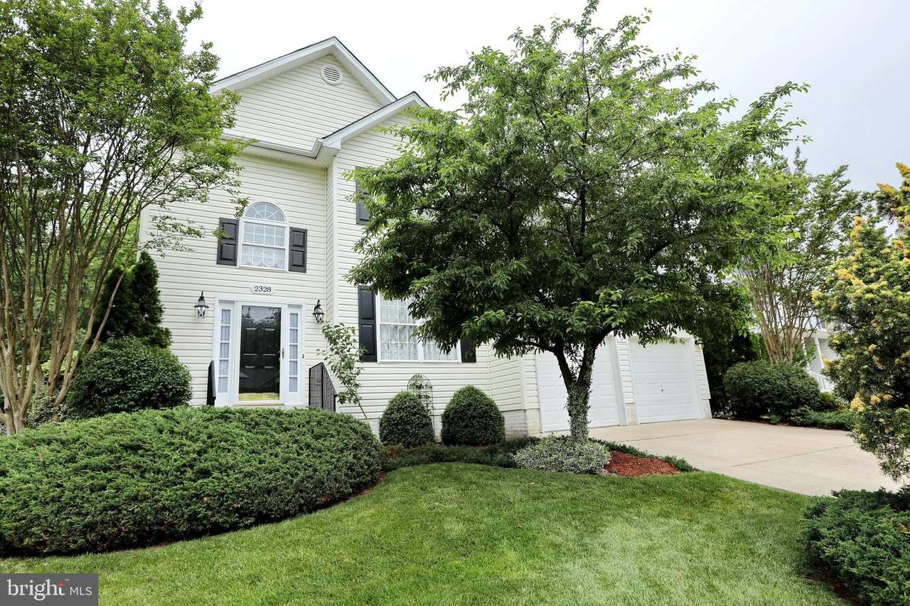 2328 Springdale Lane - Photo 1