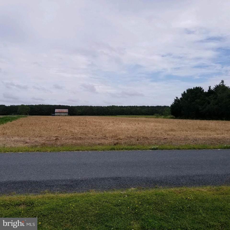 Lot 1 Boggs Schoolhouse Road - Photo 1