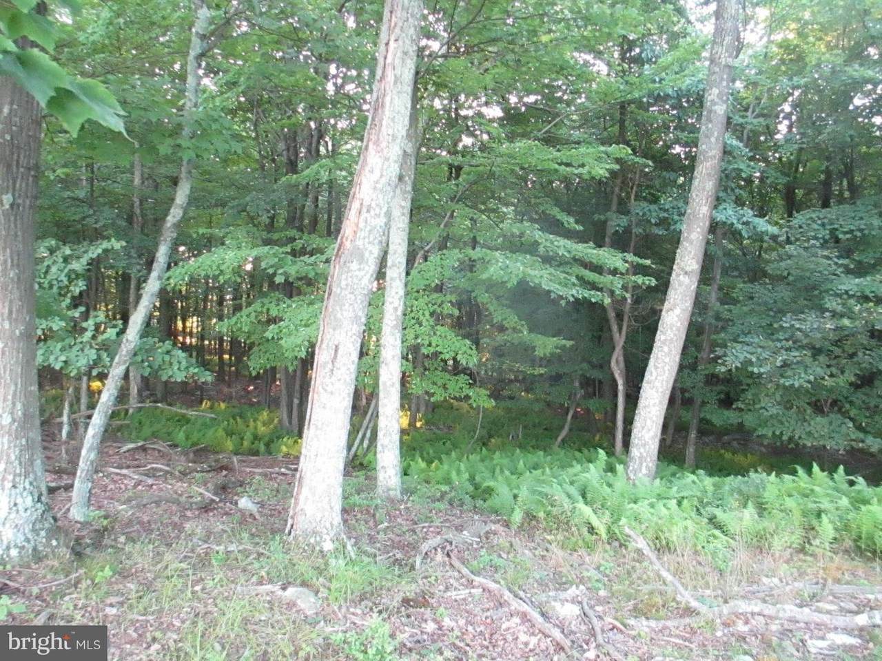 Laverne Drive - Photo 1