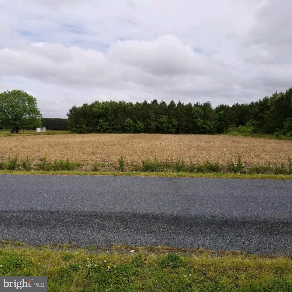 Lot 3 Boggs Schoolhouse Road - Photo 1