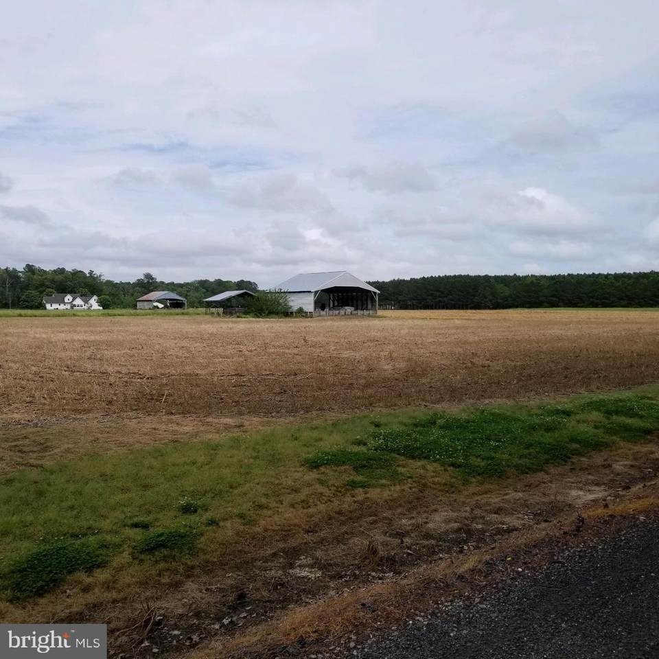 Lot 4 Boggs Schoolhouse Road - Photo 1