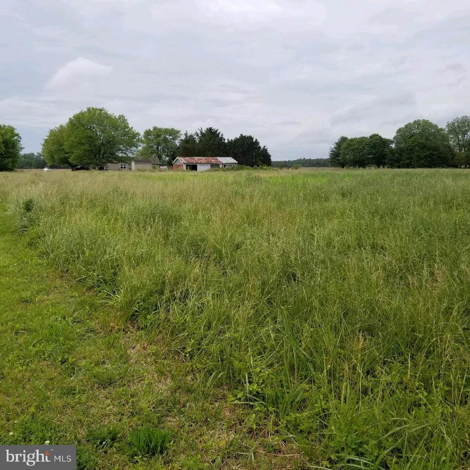 Lot 5 Boggs Schoolhouse Road - Photo 1