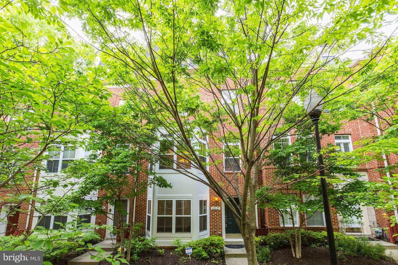 10227 Rutland Round Road - Photo 1