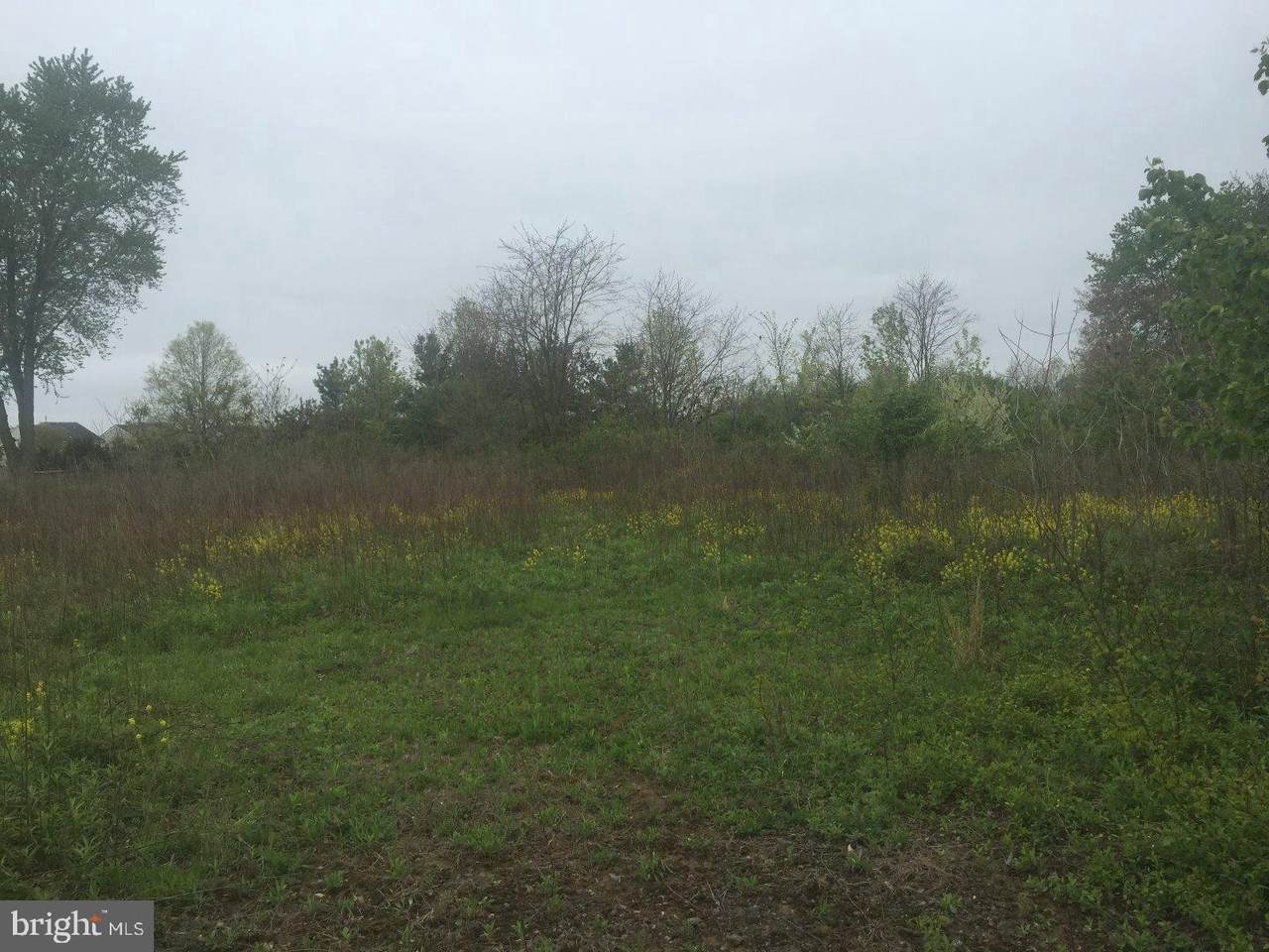 209 Pennington Lawrenceville Road - Photo 1