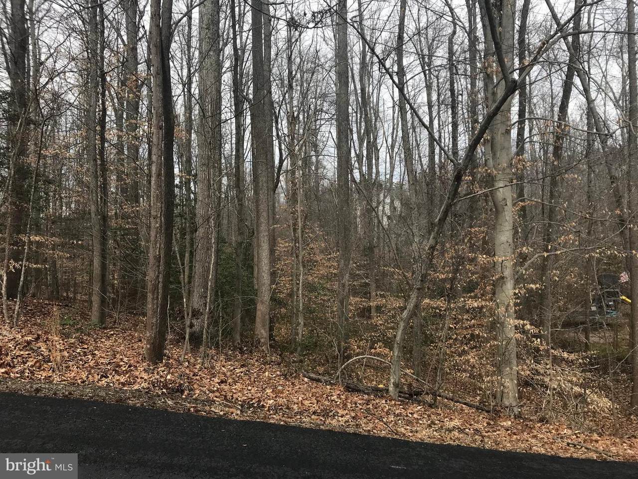 Wheeler Drive - Photo 1