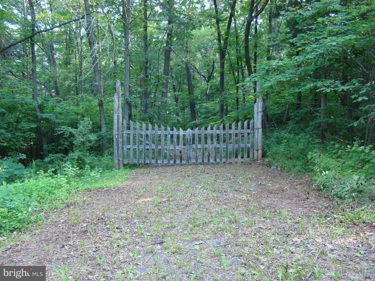 Oak Ridge Road - Photo 1