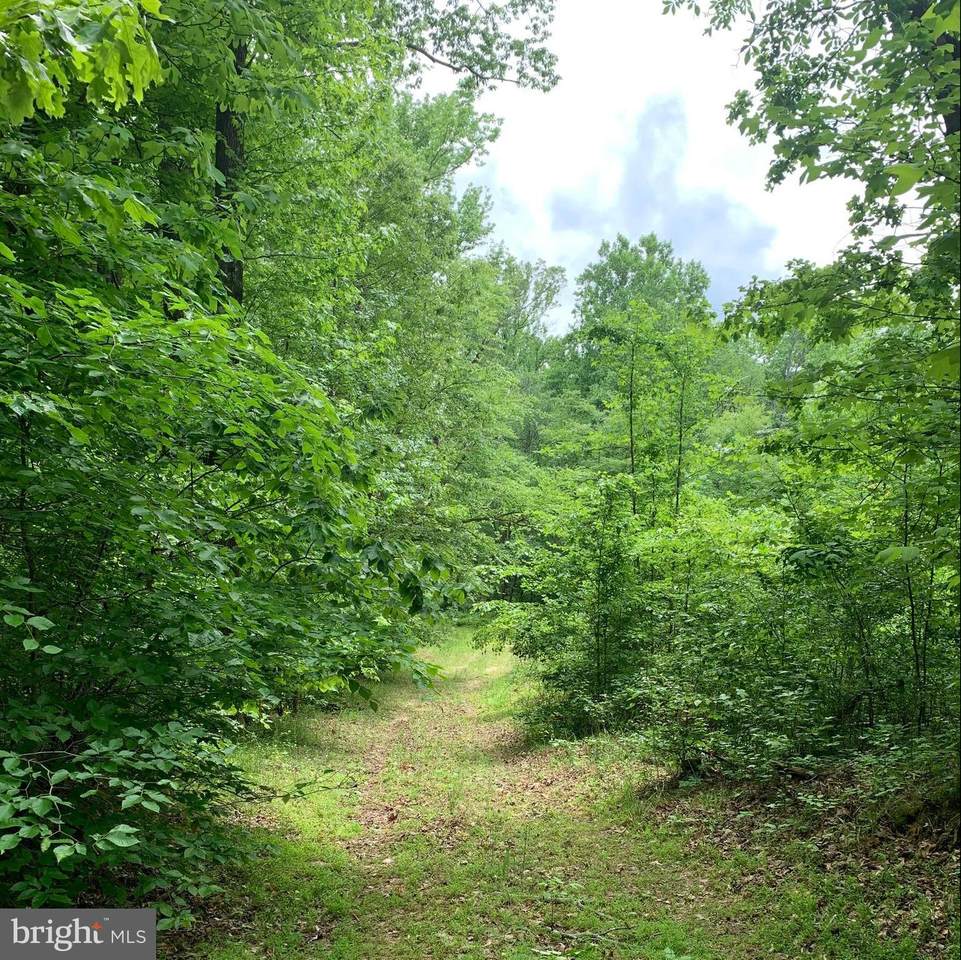 1566 Meyers Station Road - Photo 1