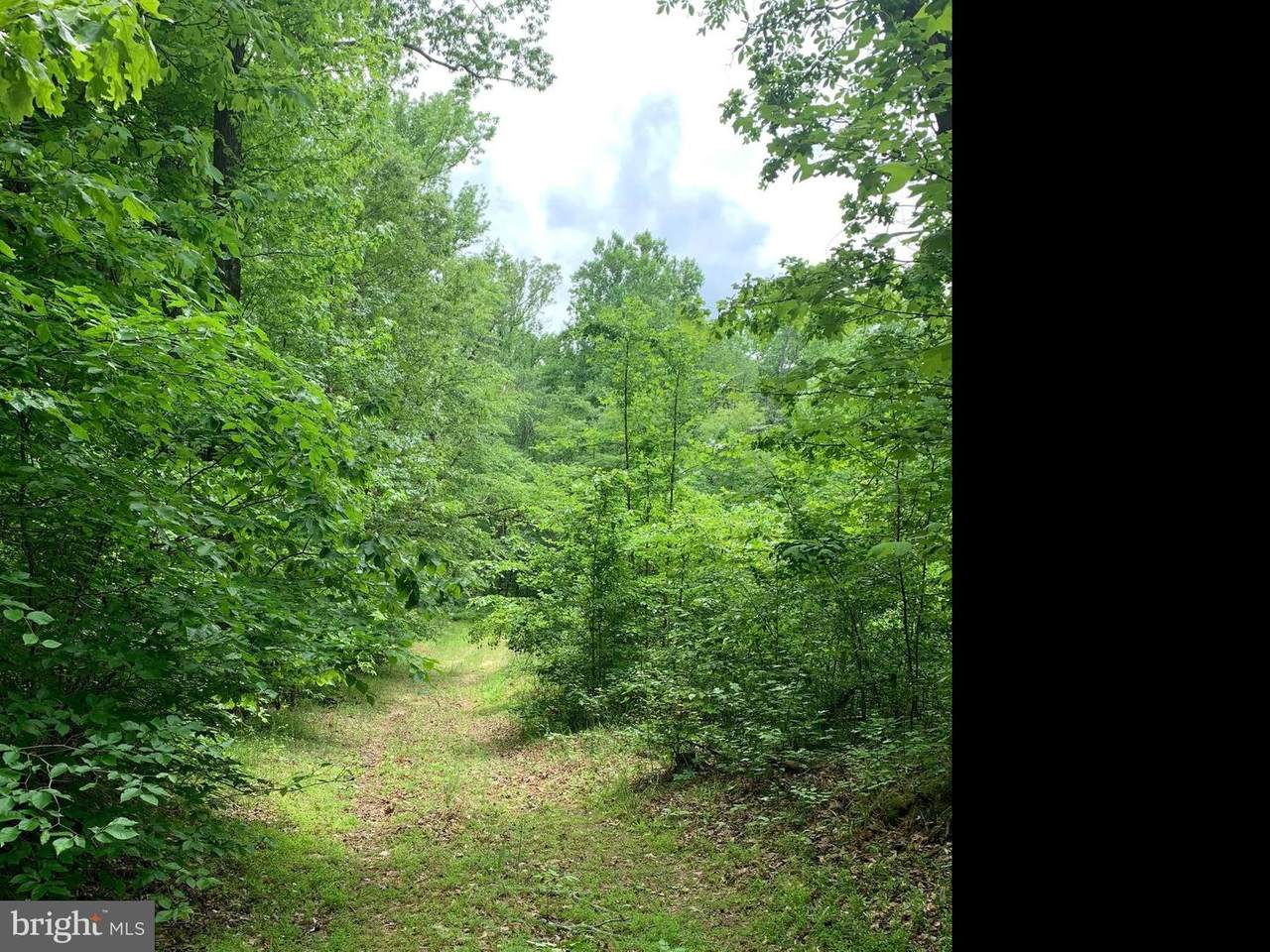 1566 Meyers Station Road - Photo 1