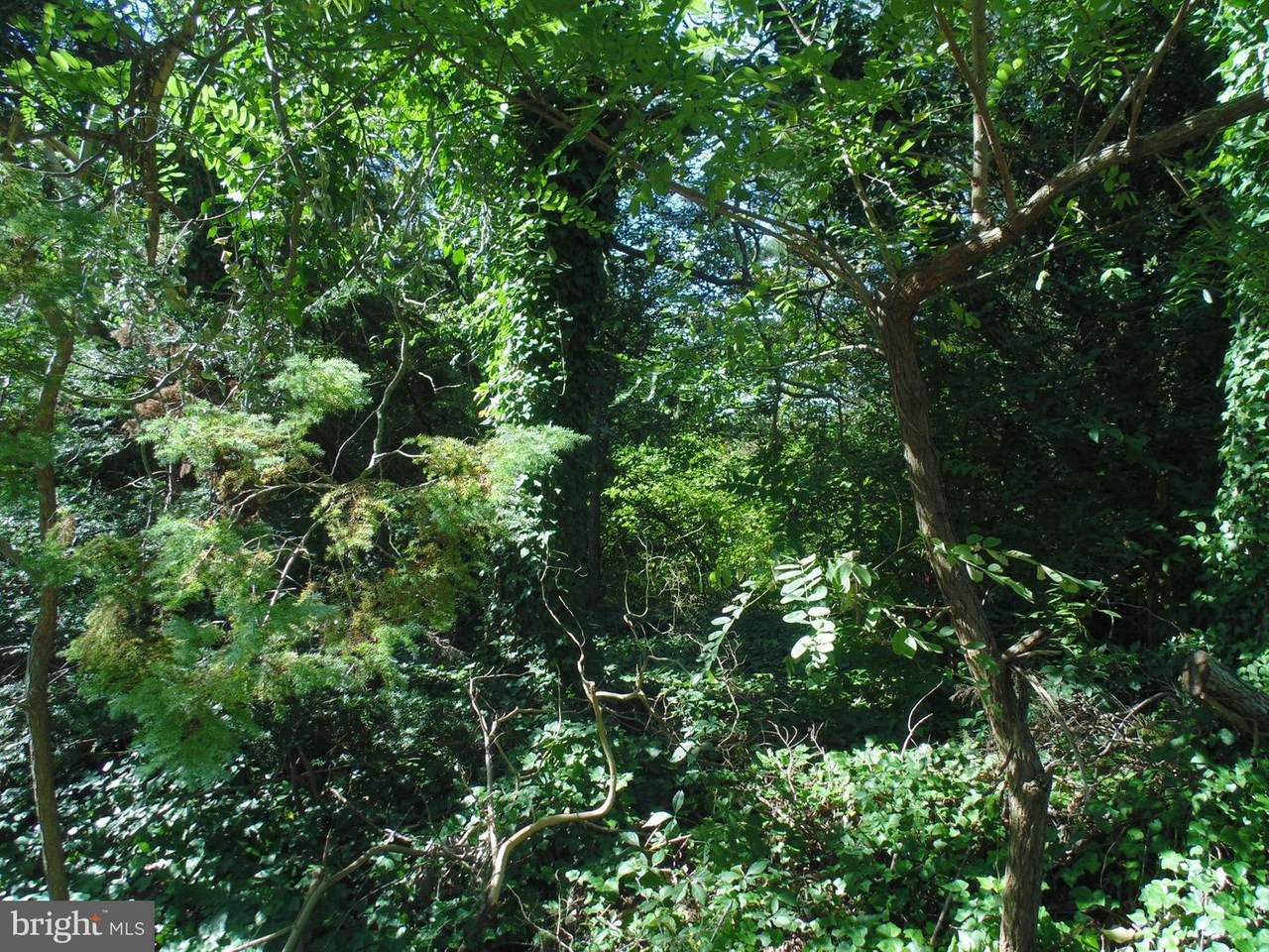 Galestown Road - Photo 1