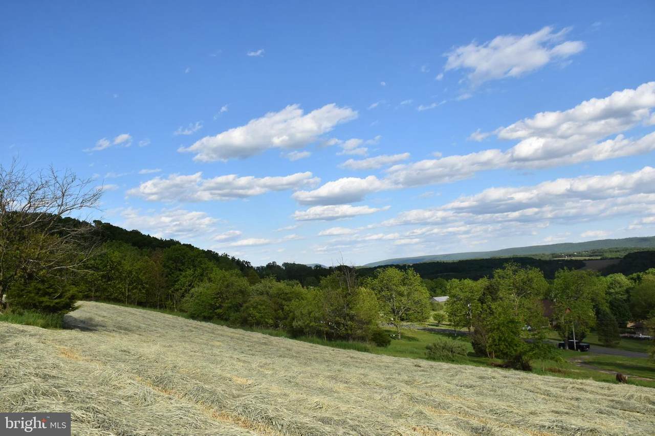 0 Schuylkill Mountain Road - Photo 1