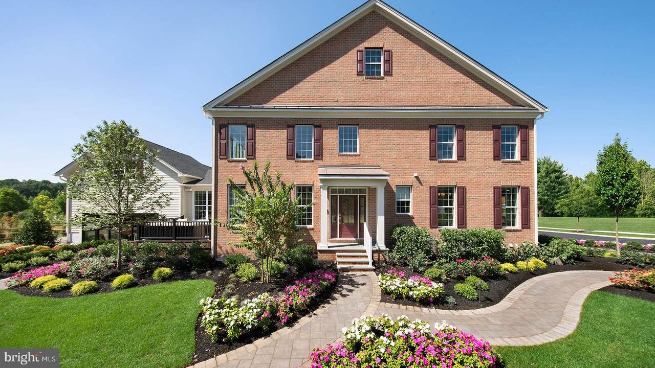 4846 Blossom Drive - Photo 1